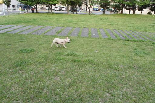 ビルの前に広がる芝生の広場
